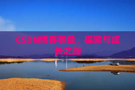 CSDN博客等级,探索与成长之路